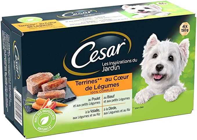 Pedigree Terrines Senior dog Vol/riz 4x  